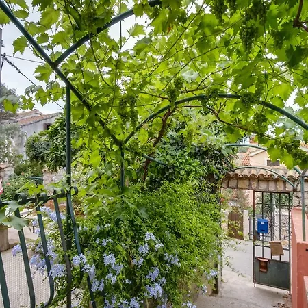 Kon-Tiki Apartments Mali Lošinj Exteriér fotografie